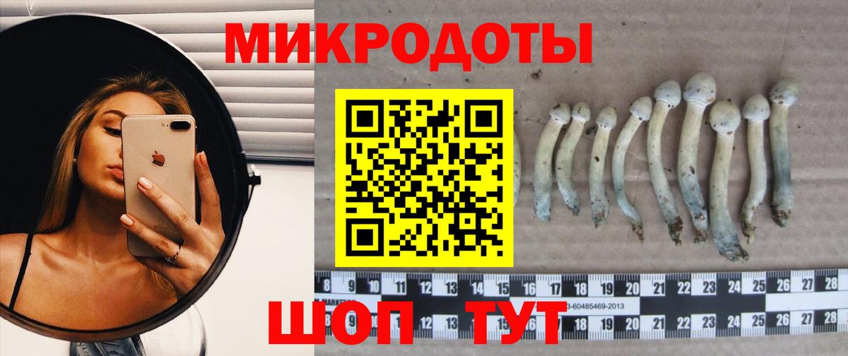 Мыски  Галлюциногенные грибы MAGIC MUSHROOMS  Вход с VPN 